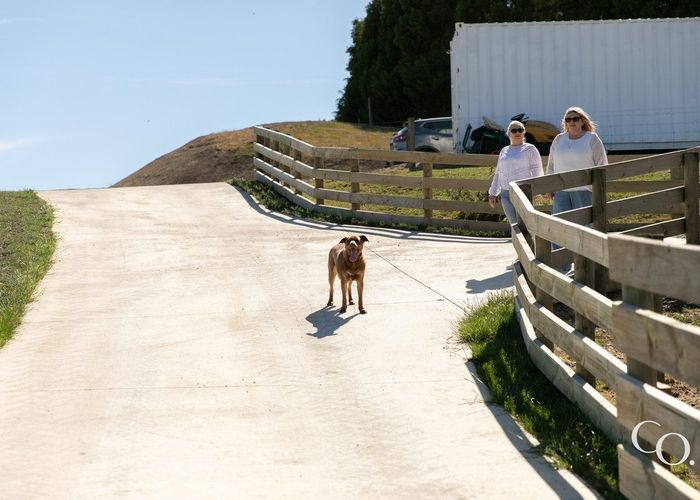  at 1/516 Salisbury Road, Maraekakaho, Hastings, Hawke's Bay