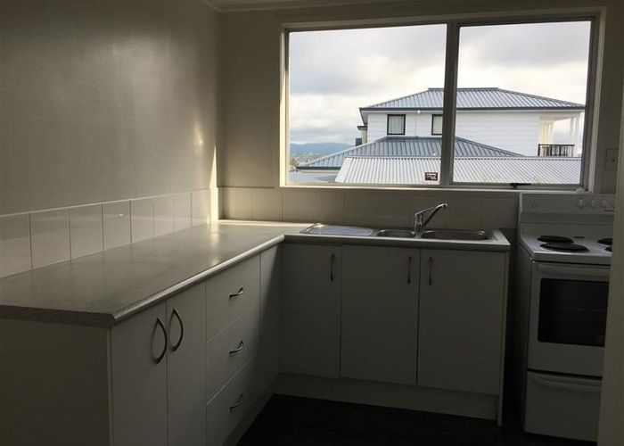  at 49 Trevola Street, New Windsor, Auckland City, Auckland