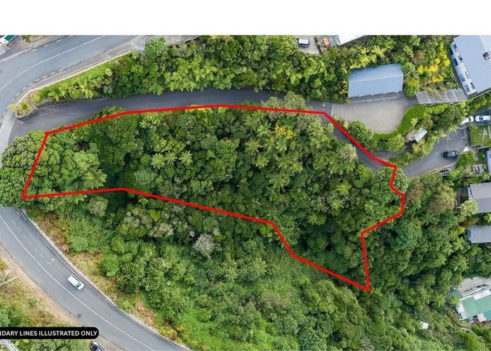  at 72 Farnham Street, Mornington, Wellington, Wellington