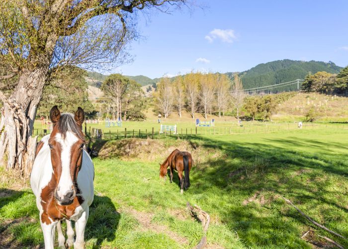  at 84 Derham Road, Te Horo, Kapiti Coast, Wellington