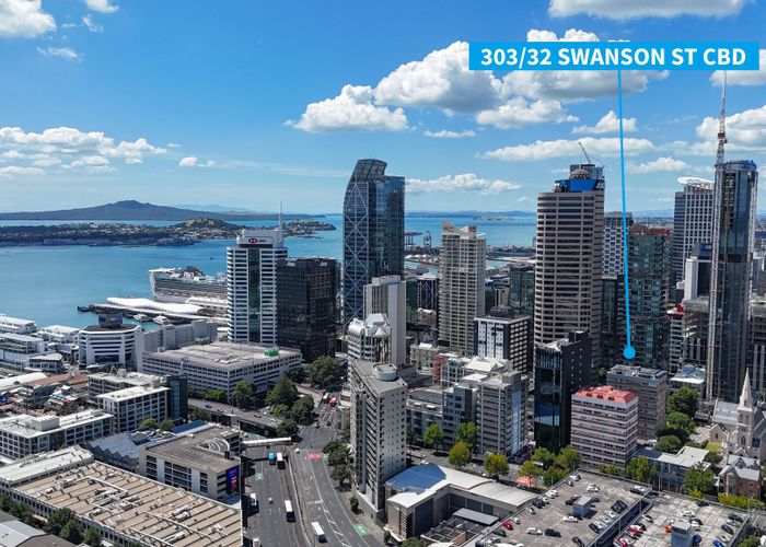  at 303/32 Swanson Street, City Centre, Auckland City, Auckland