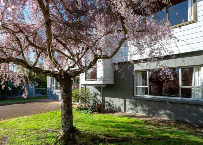  at 8 Keitha Place, Kinloch, Taupō