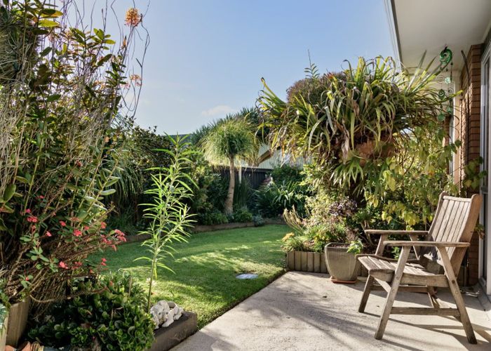  at 279B Maungatapu Road, Maungatapu, Tauranga