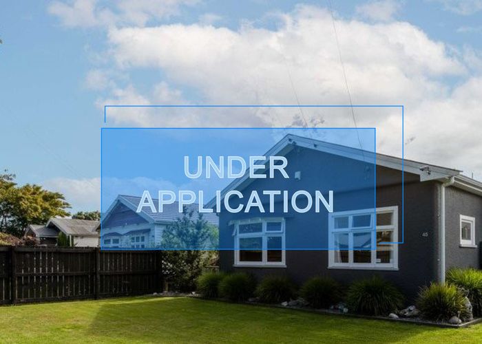  at 45 Ryan Street, Phillipstown, Christchurch City, Canterbury