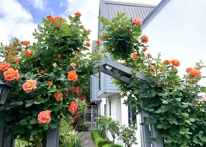  at 18/27 Cornwall Street, St. Albans, Christchurch City, Canterbury
