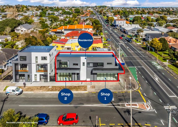  at 138 Marsden Avenue, Mount Eden, Auckland City, Auckland