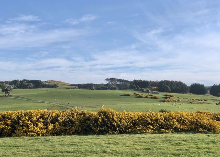  at 101 Clark Road, Omaui