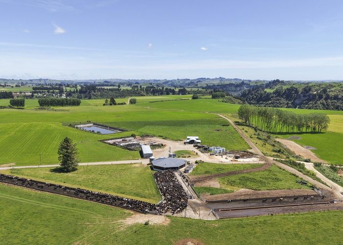  at Generational Opportunities, City Centre, Palmerston North, Manawatu / Whanganui