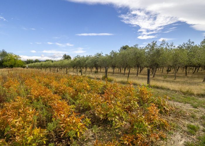  at 83 Boundary Road, Masterton, Masterton, Wellington