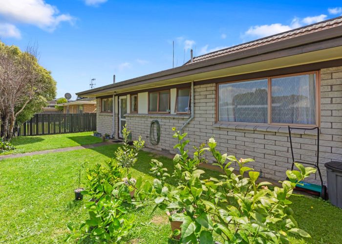  at 93C Grace Road, Tauranga South, Tauranga, Bay Of Plenty