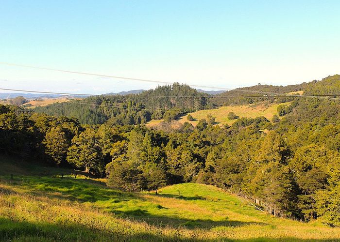  at 15 Ormiston Road, Whangarei