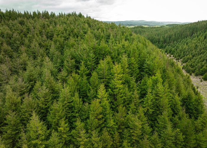  at State Highway 32, Turangi, Taupo, Waikato