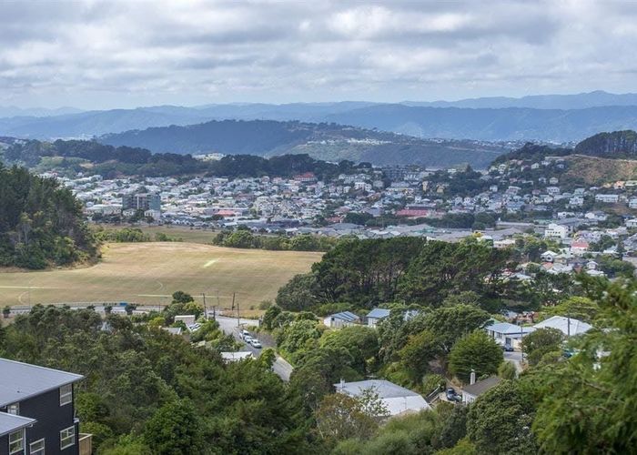  at 1/45 Farnham Street, Mornington, Wellington, Wellington