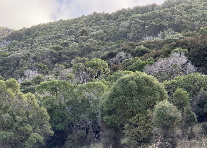  at 198ha - Le Bons Bay Road, Akaroa, Banks Peninsula, Canterbury