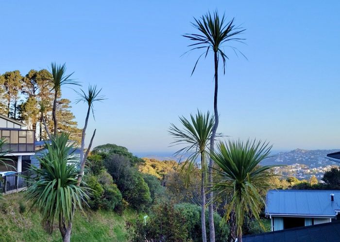  at 135 Orangi Kaupapa Road, Northland, Wellington