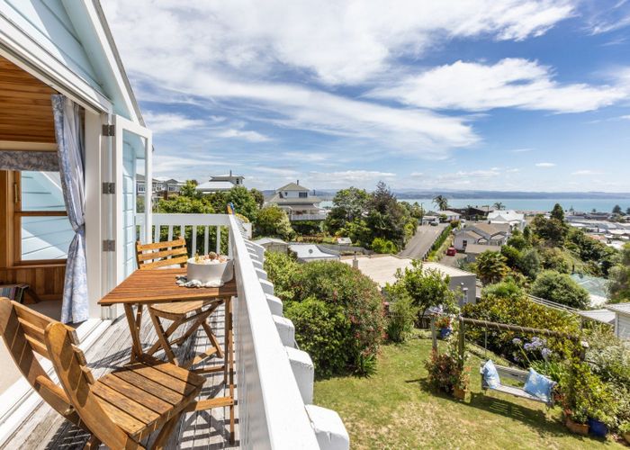  at 20 Goldsmith Road, Hospital Hill, Napier