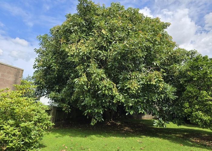  at 44 Kamo Road, Kensington, Whangarei, Northland