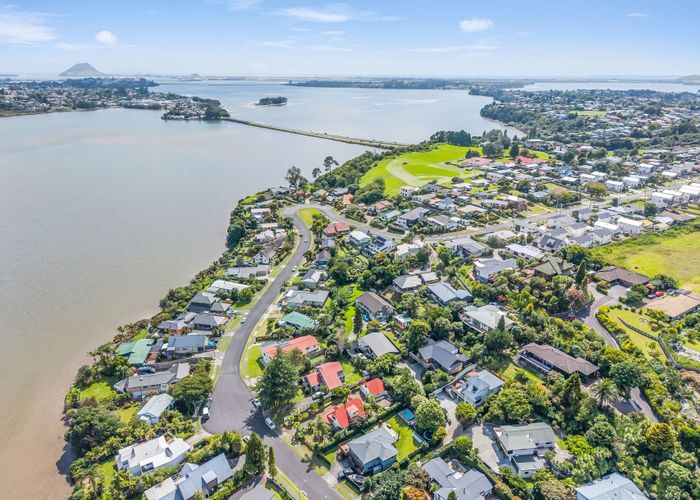  at 102 Haukore Street, Hairini, Tauranga, Bay Of Plenty