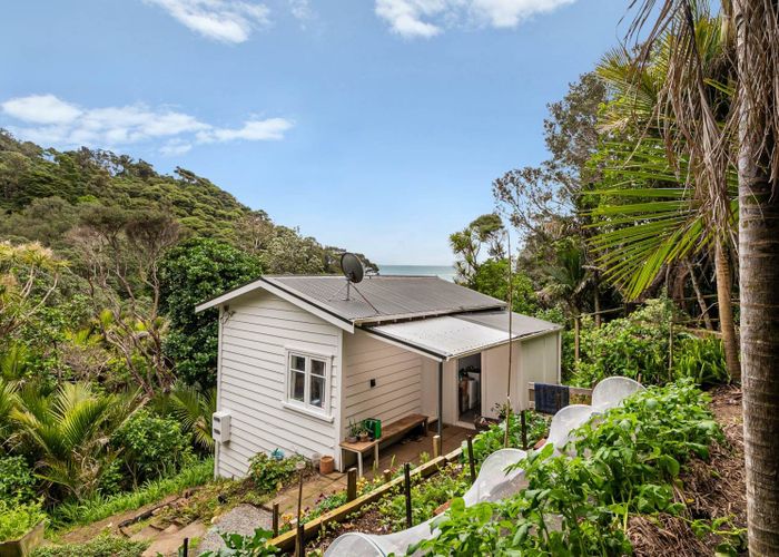  at 5 Sylvan Glade, Piha, Waitakere City, Auckland