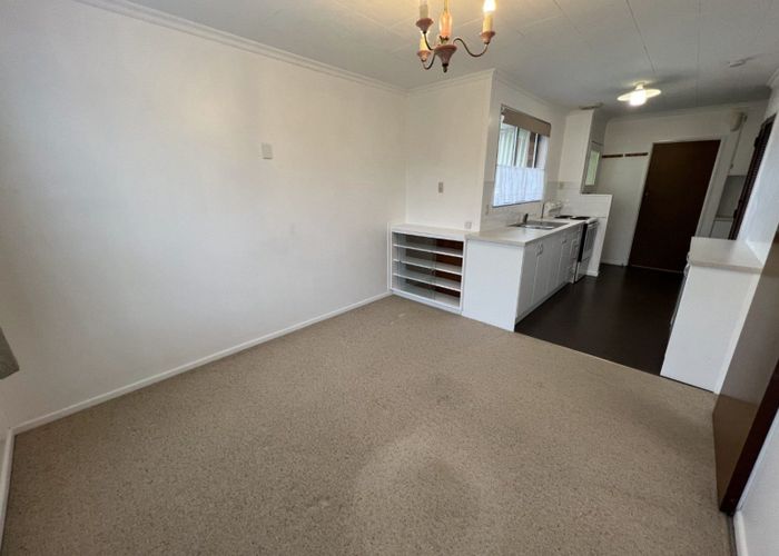  at 319 Albert Street, Hokowhitu, Palmerston North, Manawatu / Whanganui