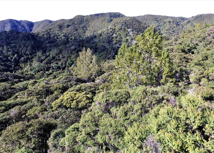  at 90 The Ridge, Langs Beach, Waipu