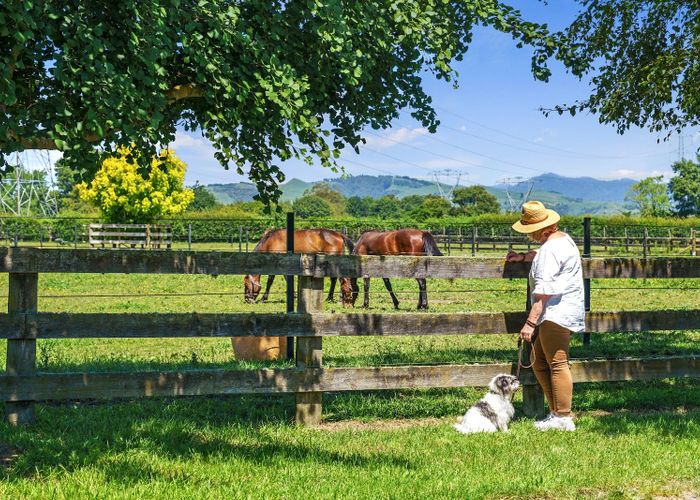  at 3714 Cambridge Road, Leamington, Waipa, Waikato