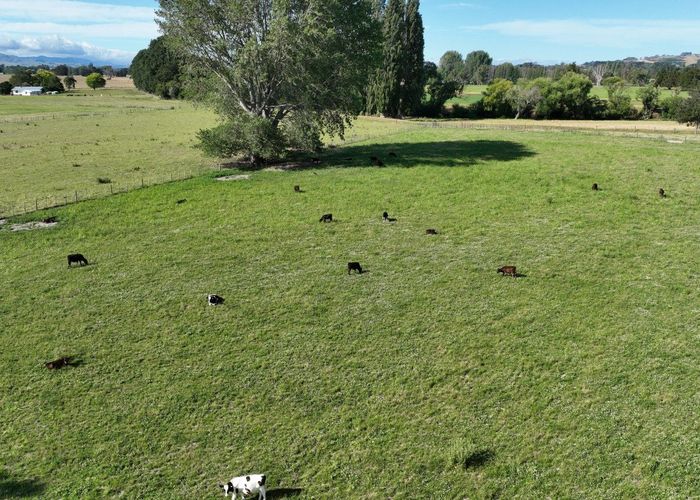  at 72 Taumata Island Road, Carterton, Carterton, Wellington