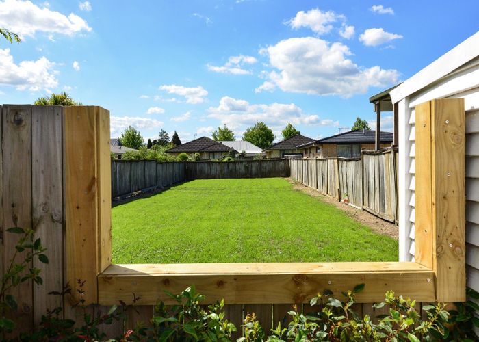  at 123 Boundary Road, Claudelands, Hamilton