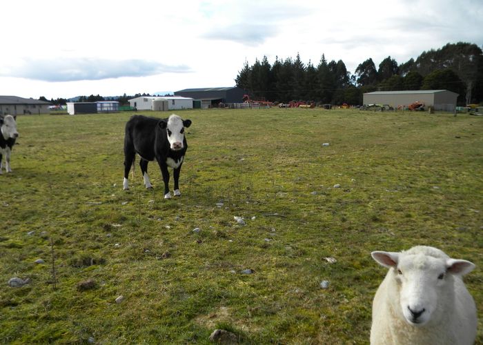  at 19A Mehrtens Road, Arahura Valley, Hokitika