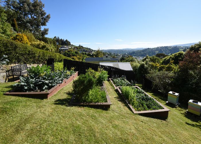  at 35 Montague Street, North East Valley, Dunedin