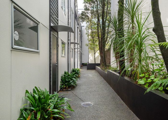  at 10/5 Millais Street, Grey Lynn, Auckland City, Auckland