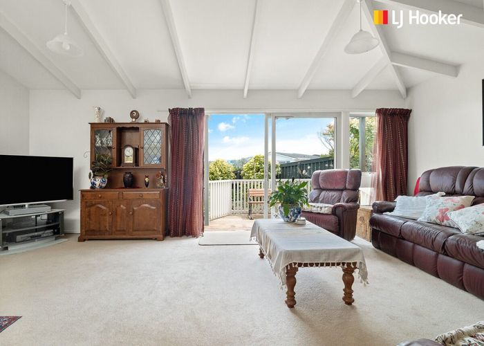  at 9 Elliffe Place, Shiel Hill, Dunedin, Otago