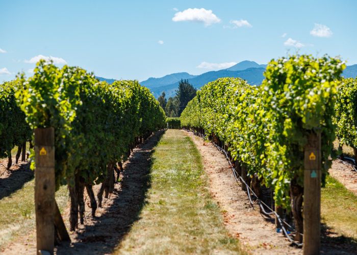  at 54 Lake Timara Road West, Waihopai Valley, Marlborough, Marlborough