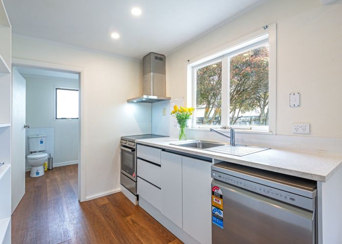  at 19 Albert Street, City Centre, Palmerston North, Manawatu / Whanganui