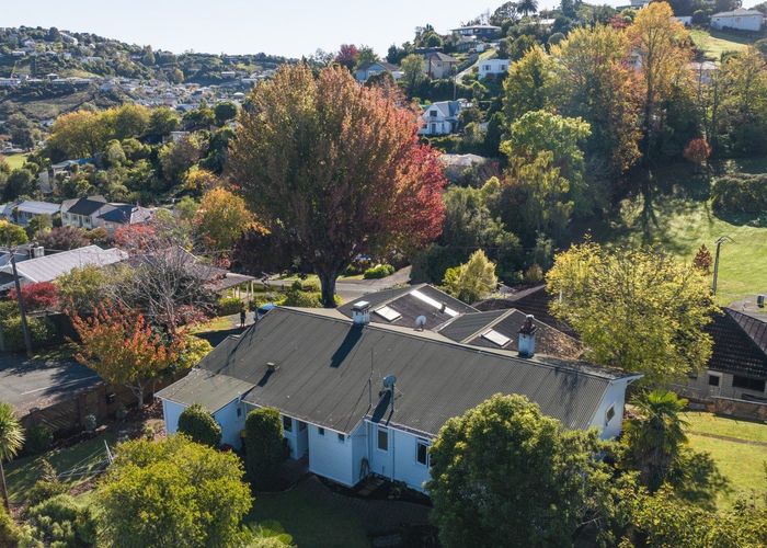  at 19 Tipahi Street, Nelson South, Nelson