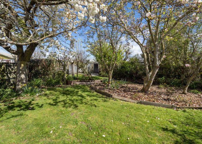  at 14 Ferrier Place, Tinwald, Ashburton