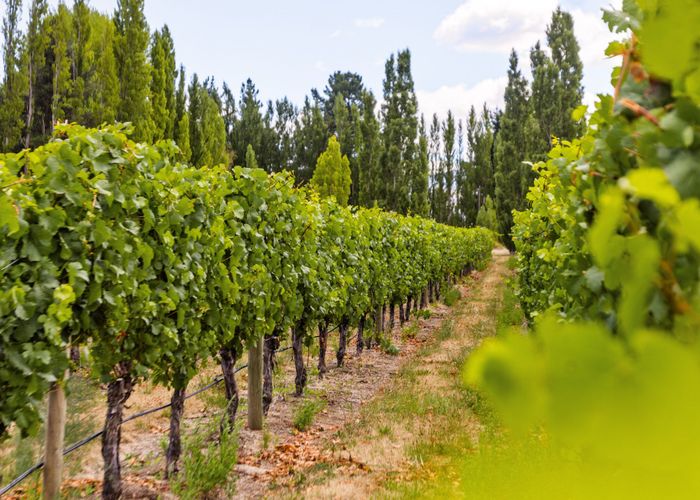  at 89 McPherson Road, Earnscleugh, Alexandra, Central Otago, Otago