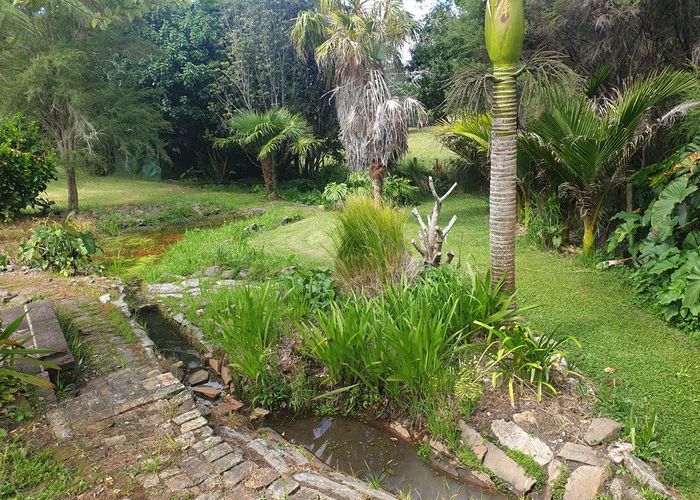  at 1246 Whangapoua Road SH25 Te Renga, Whangapoua, Thames-Coromandel, Waikato