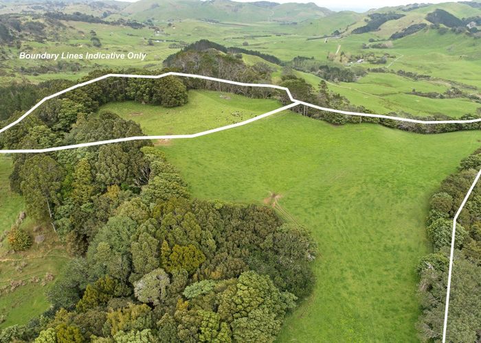 For sale 124 Kemp Road, Awhitu, Franklin, Auckland homes.co.nz