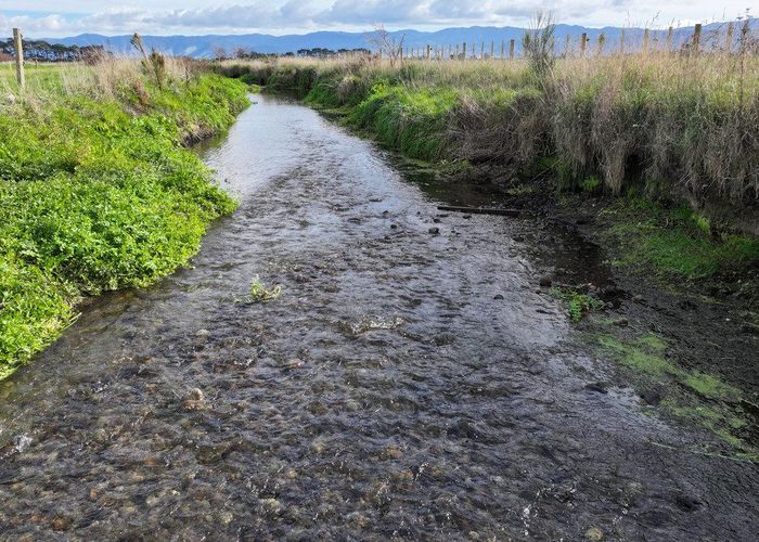  at 155 and 157 Te Maire Road, Martinborough, South Wairarapa, Wellington