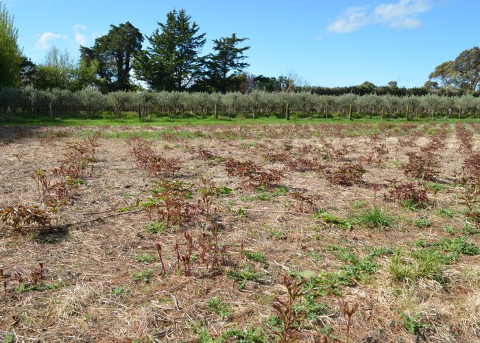  at 83 Boundary Road, Masterton, Masterton, Wellington