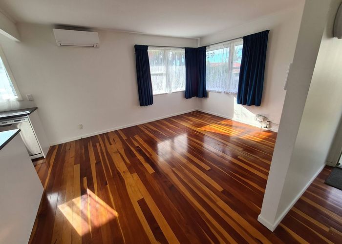  at 19A Euston Road, Sandringham, Auckland City, Auckland