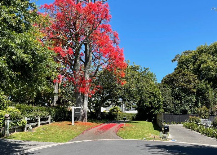  at 41 Black Barn Lane, Bethlehem, Tauranga