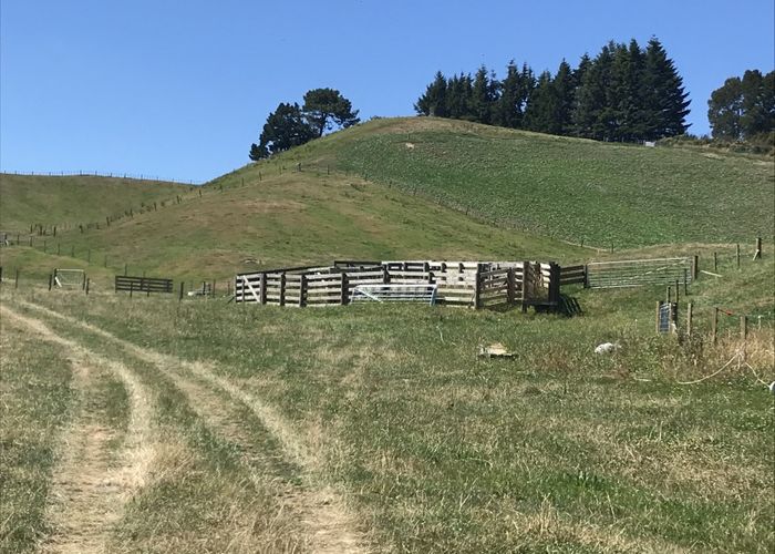  at 343 Oruanui Road, Wairakei, Taupo