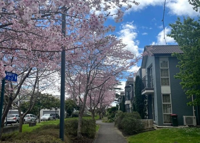  at 23 Mcginty Street, Takanini, Papakura, Auckland