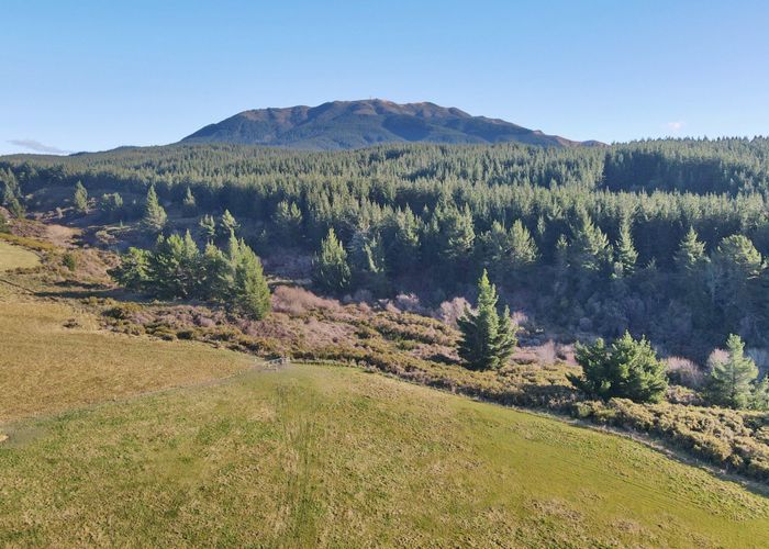  at Lot 2/480 Cramptons Bush Road, Amberley, Hurunui, Canterbury