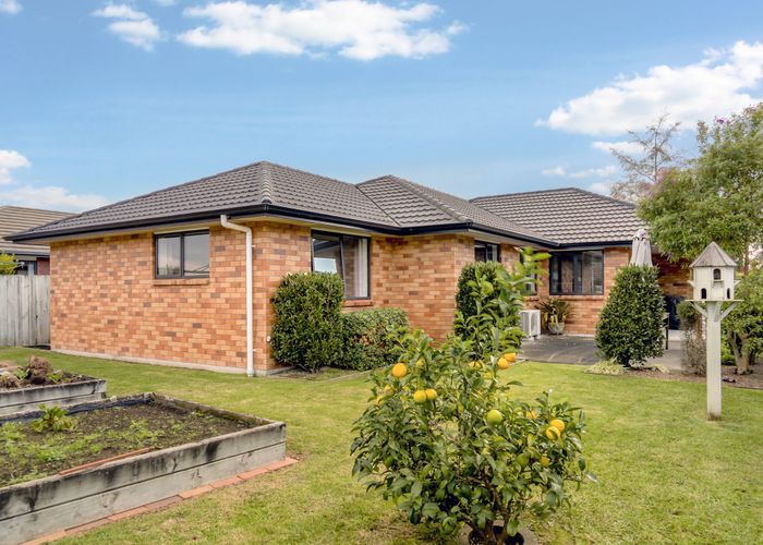  at 23 Landing Drive, Pyes Pa, Tauranga, Bay Of Plenty