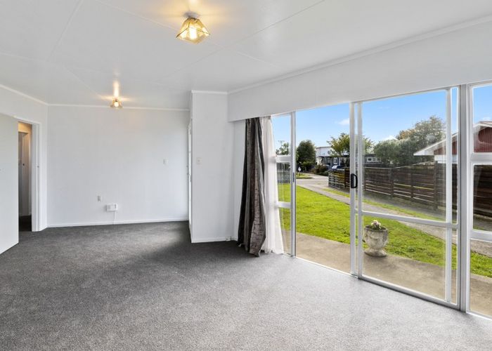  at 2 Drake Street, Levin, Levin