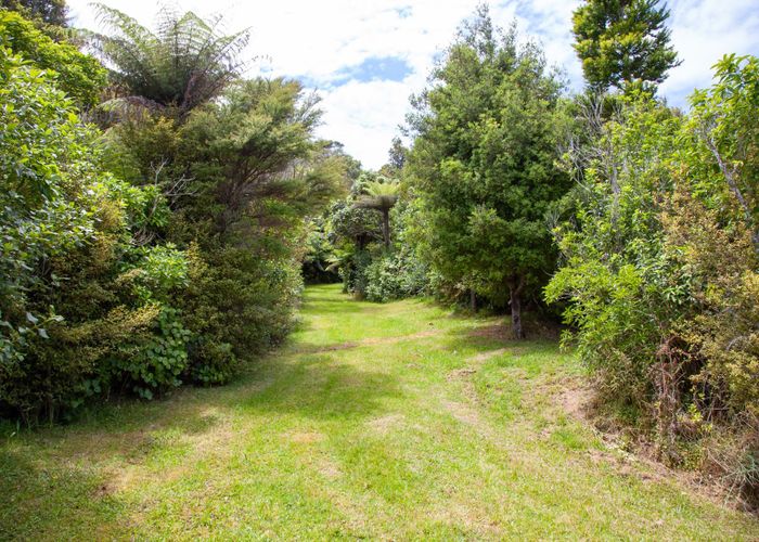 For sale 1288 Manaia Road, Coromandel, ThamesCoromandel, Waikato