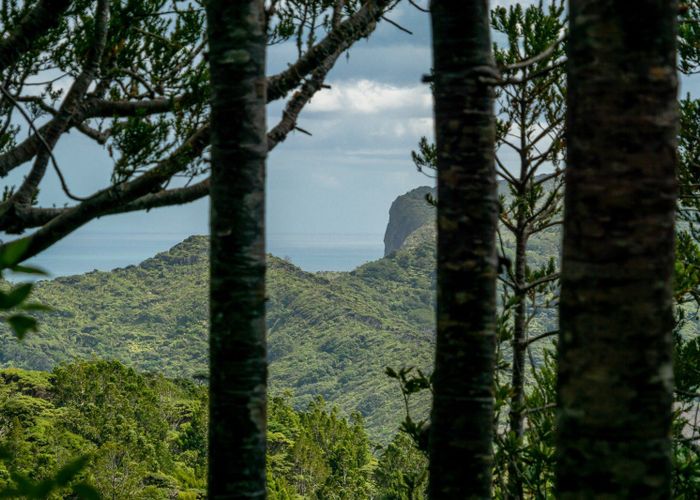  at 22 Waikarekare Lane, Karekare, Auckland